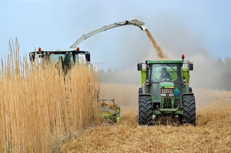 El Precio Mínimo del Bioetanol: Análisis de la Resolución 141/2025 2 crop, tractor, elephant grass, environment, plant, biomass, ecology, bioethanol, biofuel, green, nature, harvesting, culture, harvest, biofuel, biofuel, biofuel, biofuel, biofuel