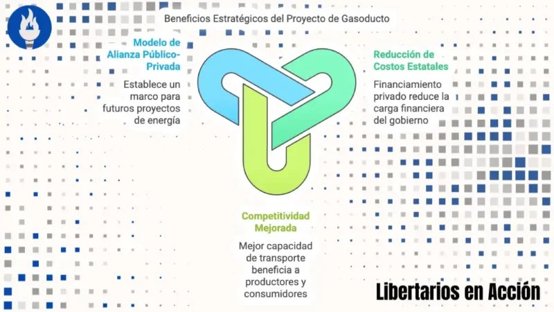 Decreto 54/2025: Ampliación del Gasoducto Perito Moreno y Marco Legal para Iniciativas Privadas en Argentina 6 Ampliacion del Gasoducto Perito Moreno 6