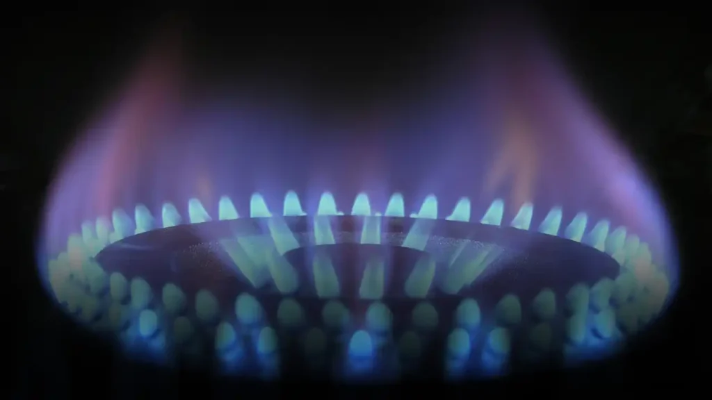 Litargirio y Glicerina ▷ Nueva Resolución del ENARGAS: Prohibición del su Uso en Instalaciones de Gas 2 Nueva Resolución del ENARGAS: Prohibición del Uso de Litargirio y Glicerina en Instalaciones de Gas