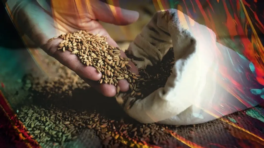 Resolución INASE: Derechos de Propiedad de Cultivares de Soja de BASF Declaran Caducidad 3 Resolución INASE: Derechos de Propiedad de Cultivares de Soja de BASF Declaran Caducidad