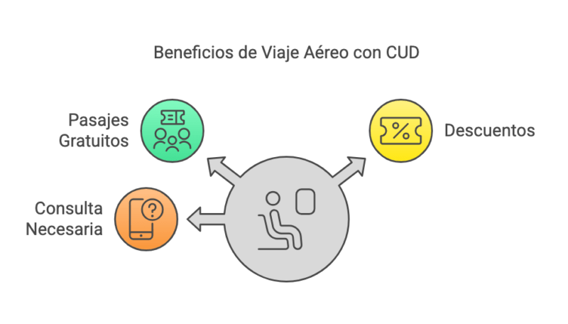 ¿Es posible viajar gratis en avión con Certificado Único de Discapacidad (CUD)? 4 ¿Es posible viajar gratis en avion con Certificado Unico de Discapacidad CUD visual selection 2