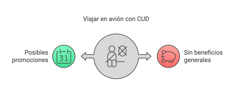 ¿Es posible viajar gratis en avión con Certificado Único de Discapacidad (CUD)? 25 ¿Es posible viajar gratis en avion con Certificado Unico de Discapacidad CUD visual selection 20